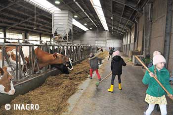 boerderij-inagro_350